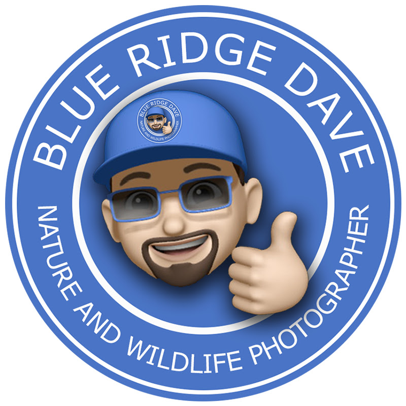 BlueRidgeDave