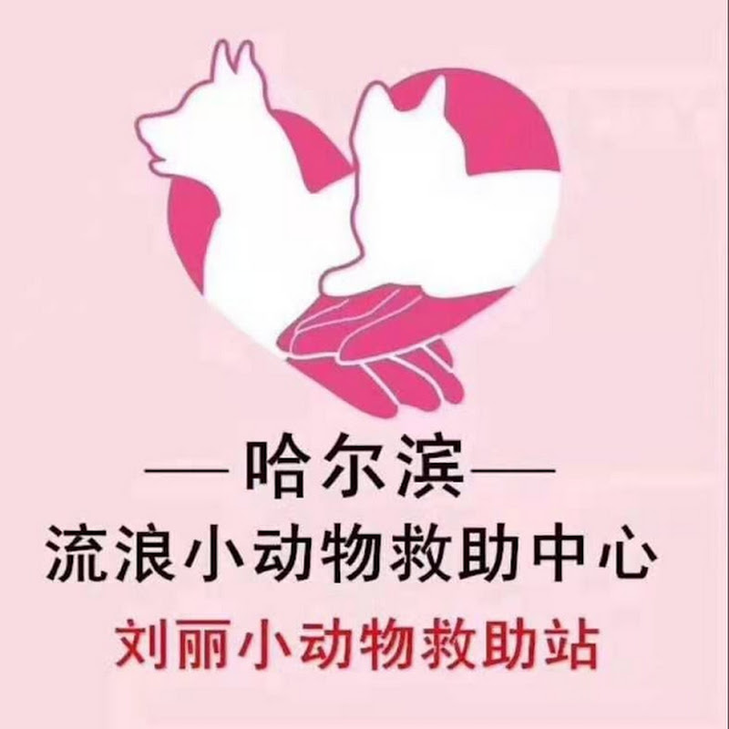 劉丽小動物救助站