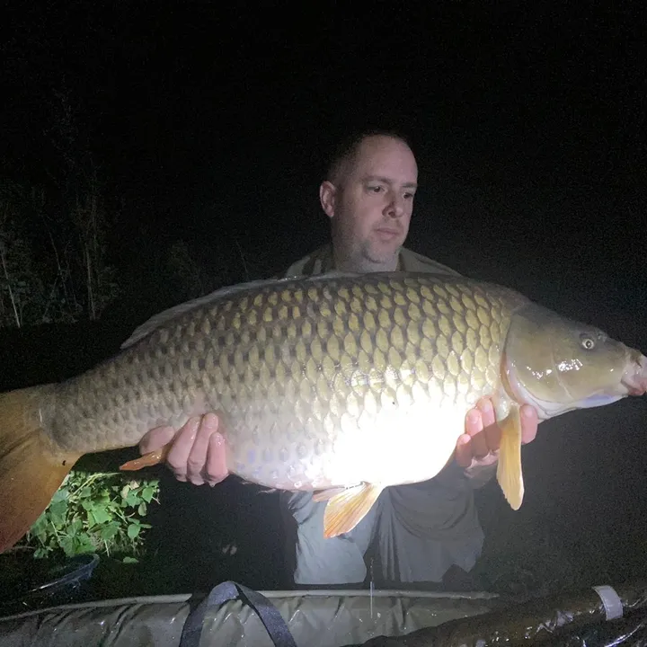 Mikecarp35