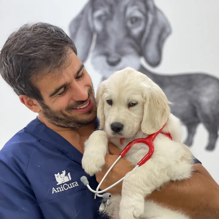 Andre Santos Vet 🐾