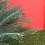 Jorge Valdés Díaz-Vélez