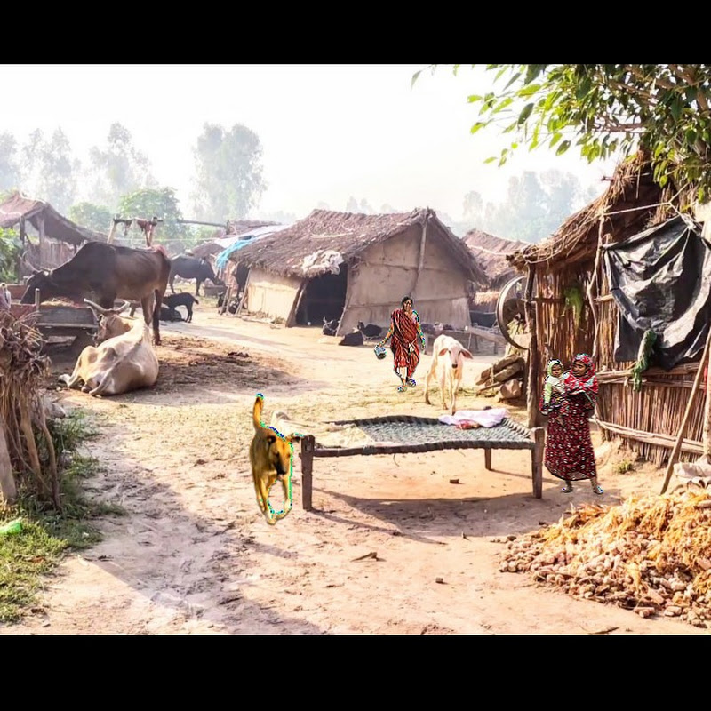 India Village Life