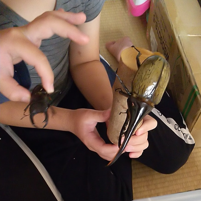 ツインズ☆チャンネル