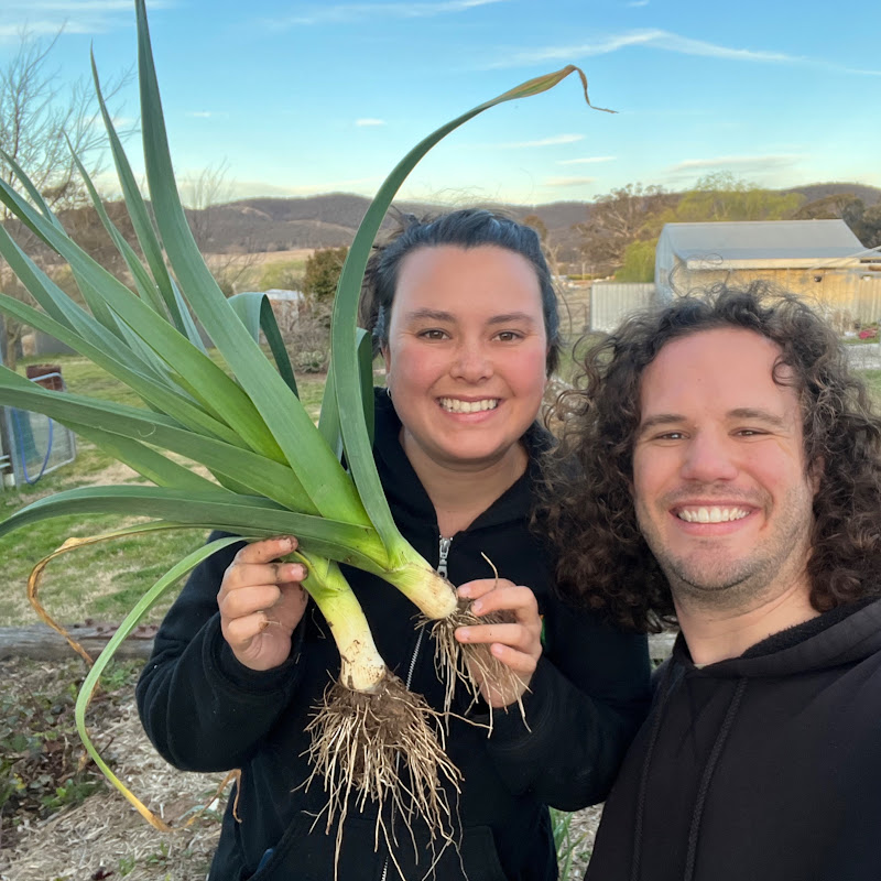 The Wonky Carrot Homestead Farm