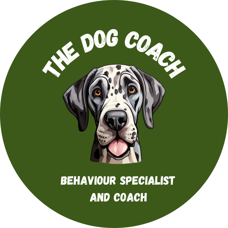 Dog Coach Jack