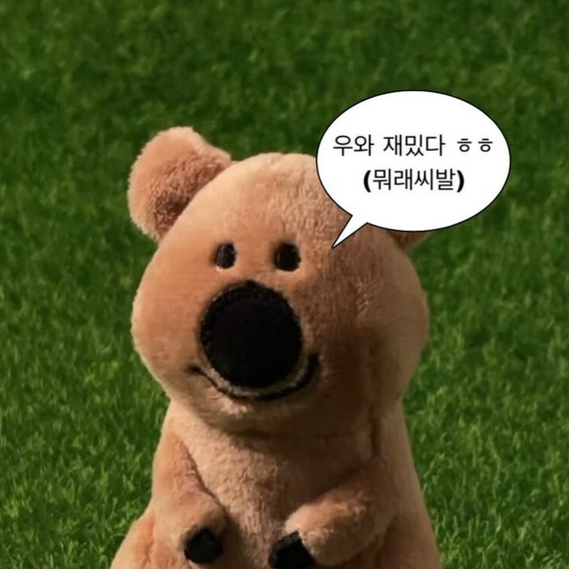 랜덤플레이댄스