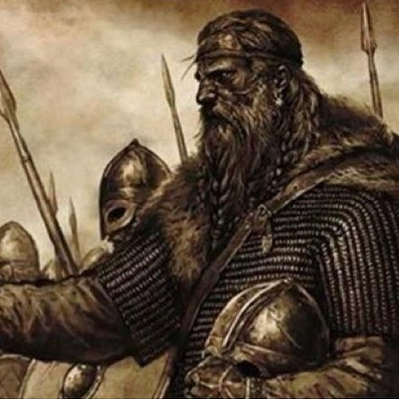 Trader Steve (Cryptoviking)