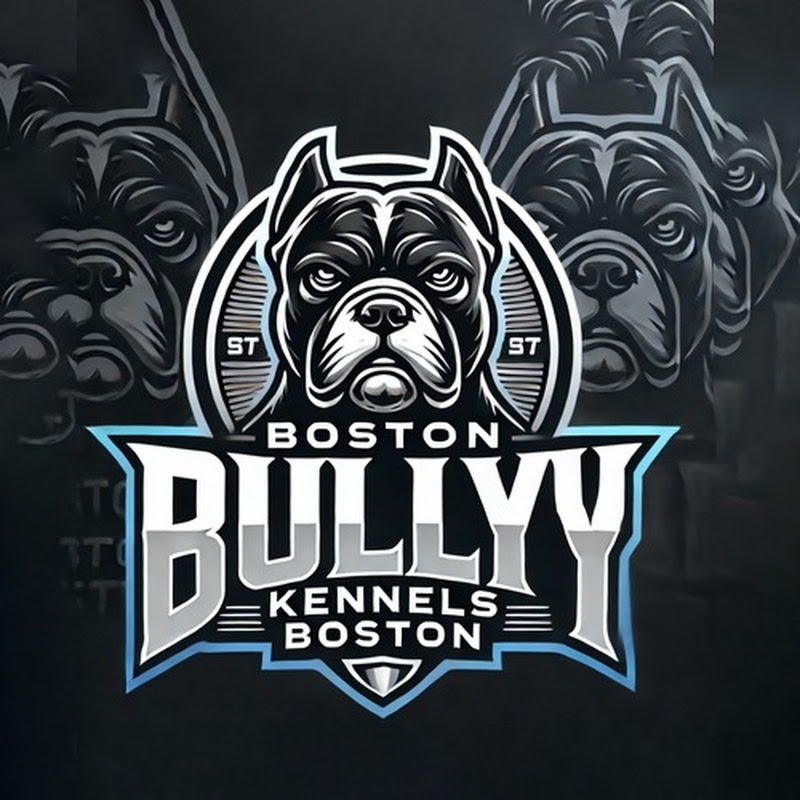 Bostonbullykennels 