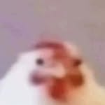 ThisMemeIsAwesome12