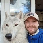 Walking_with_wolf dogs - Jet & Sully