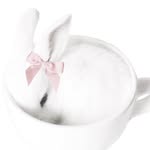 bunn ₍ᐢ.  ̫ .ᐢ₎☁️｡⋆🎀⋆