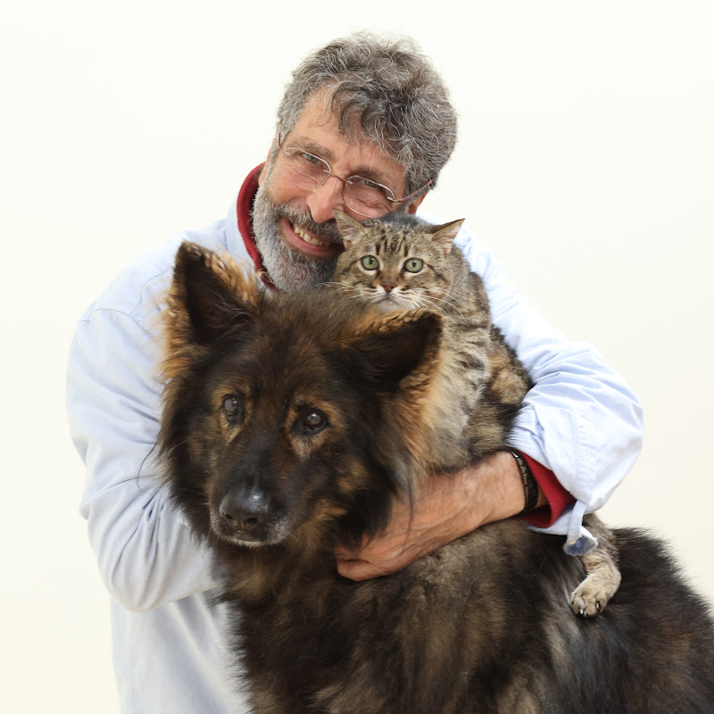 Conrado Animalero