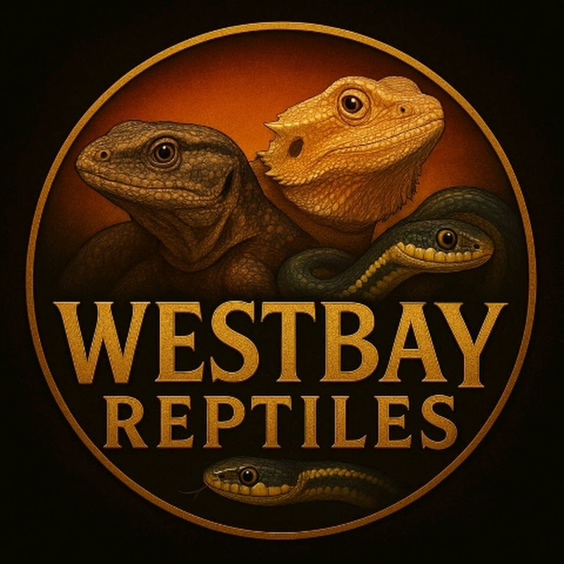 Westbay reptiles
