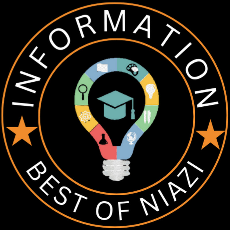 Best Of Niazi