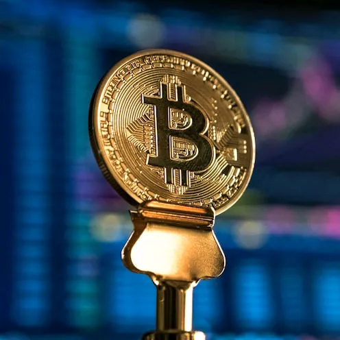 crypto mania