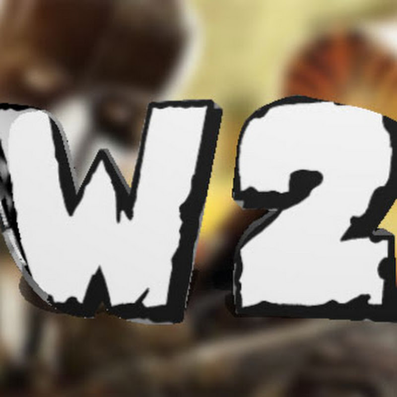 wal2bros