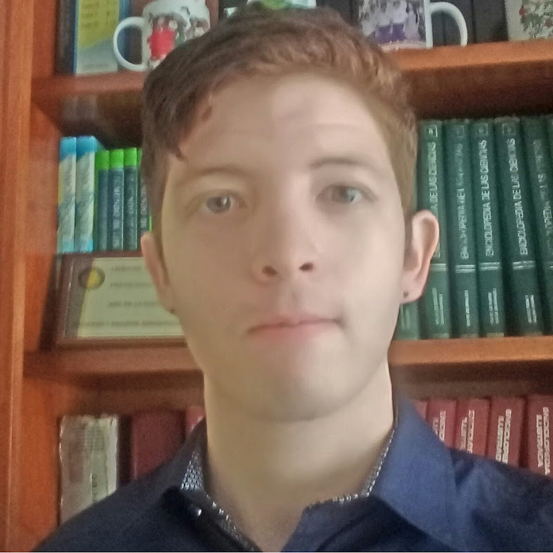 DavidBU