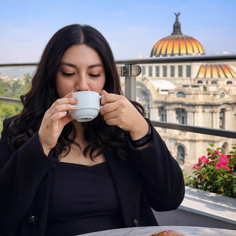 Joe Foodie Mx
