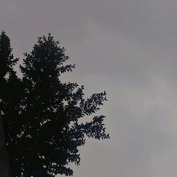 ..............................