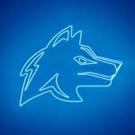 Lobo Team