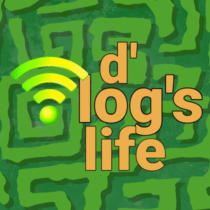 d' Vlog's life