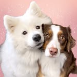 Jeanny, Yuki & Maple
