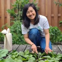 groenten kweken uit eigen tuin