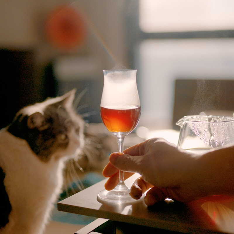 KiSH-Log 키쉬의 브이로그