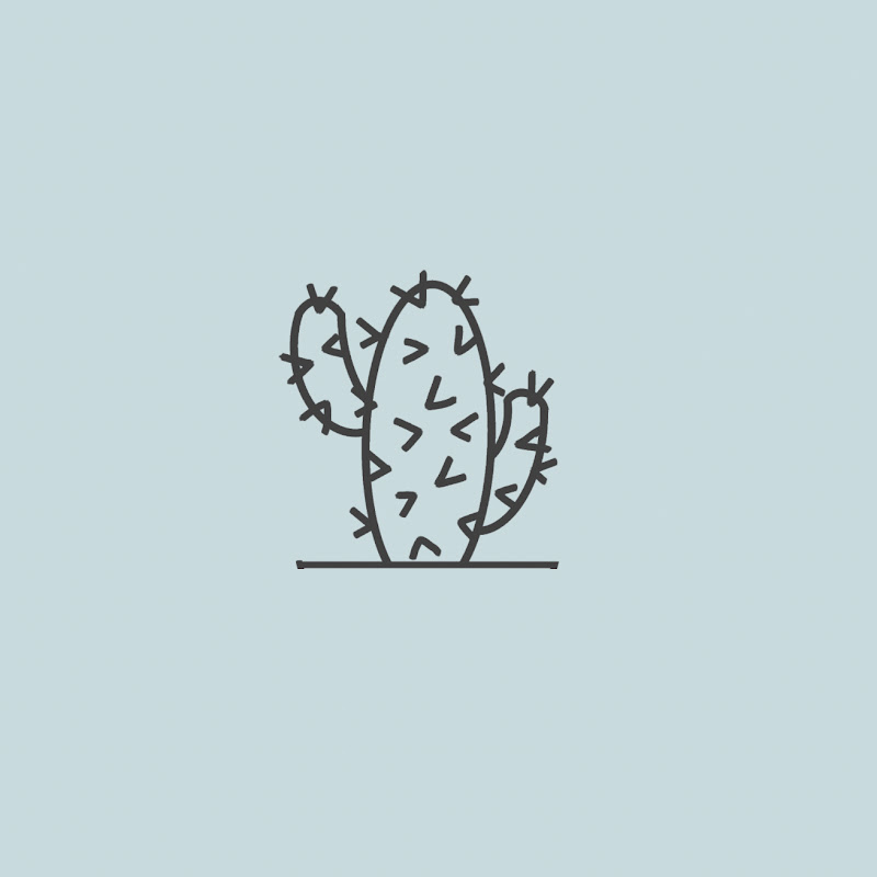 Le Naked Cactus - Life in Provence
