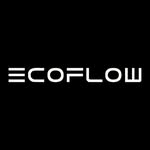 EcoFlow India