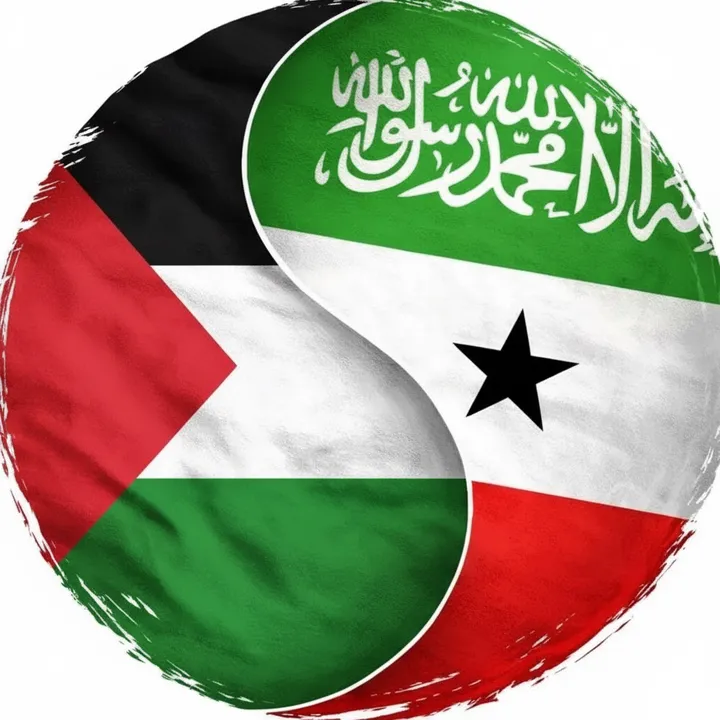 🌍 SOMALILAND 🇵🇸