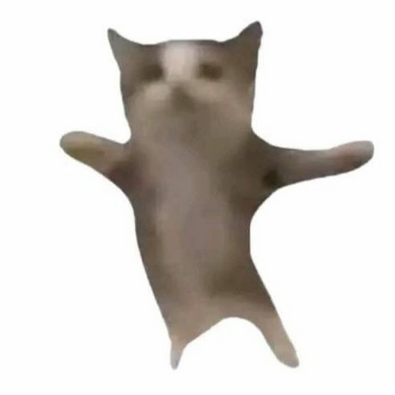 huhuqoqoo