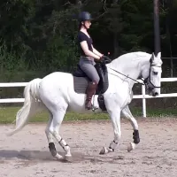 Johanna J Equestrian Physio