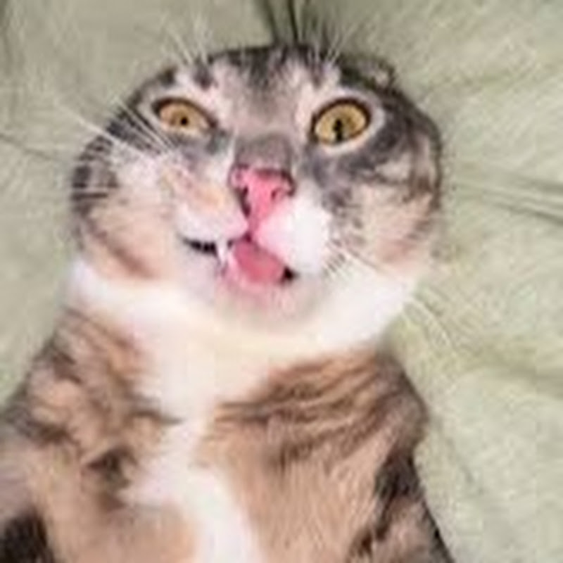 McCreary