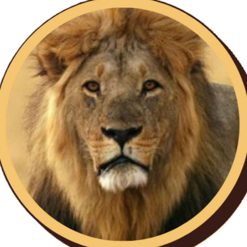 Rey León - Nuevas Generaciones