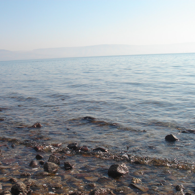 Vitamina O: Biblia y Espiritualidad F.A.