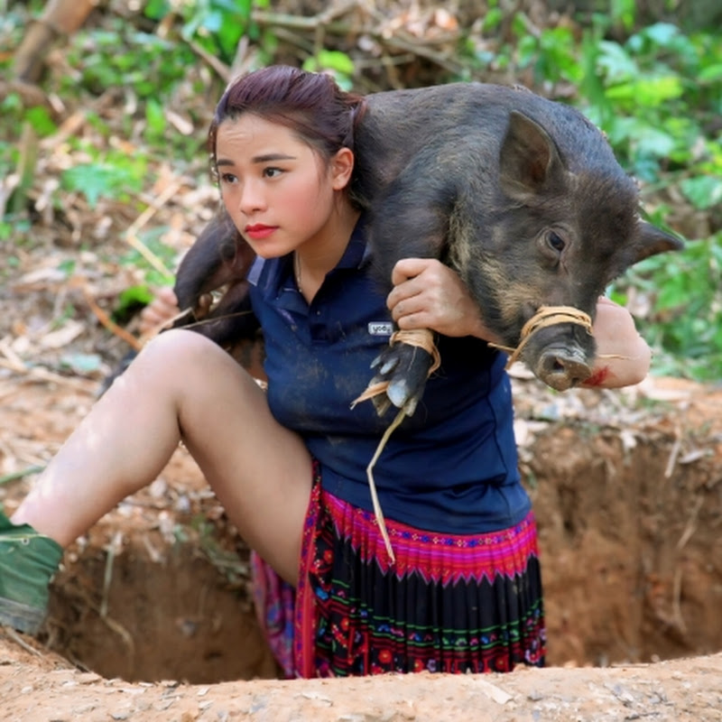 phượng pú