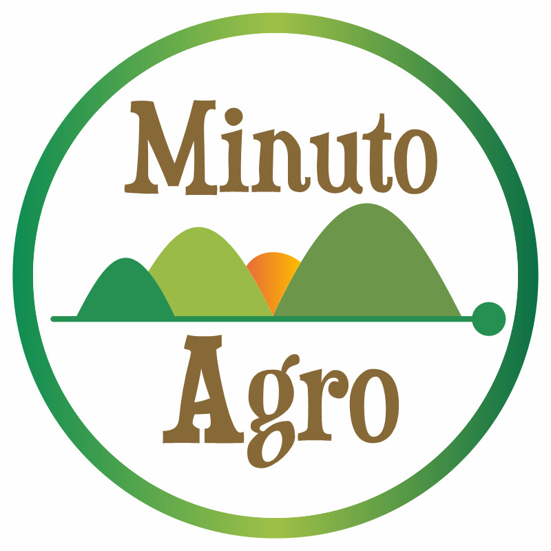 Minuto Agro - Vida na Roça