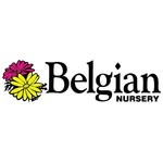 Belgian Nursery