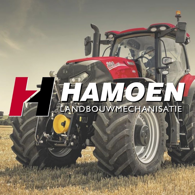 Hamoen L.M.B.
