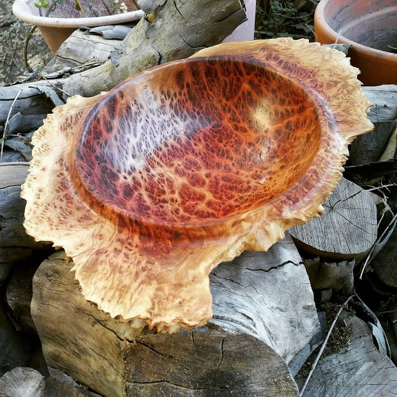 Delbasid Timbers