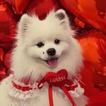 Louise
