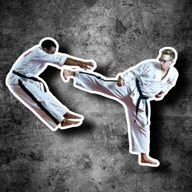 Artes Marciais 🥋🔥