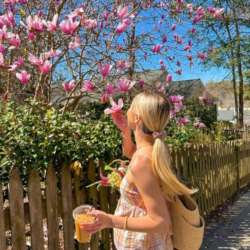 ࣪ ˖ 𖦹⋆𝙍𝙤𝙨𝙖𝙡𝙮𝙨𝙨𝙖