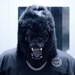 𝐆𝐎𝐑𝐈𝐋𝐋𝐀 𝐁𝐄𝐀𝐓𝐙 / 𝐊𝐄𝐍𝐒𝐇𝐈