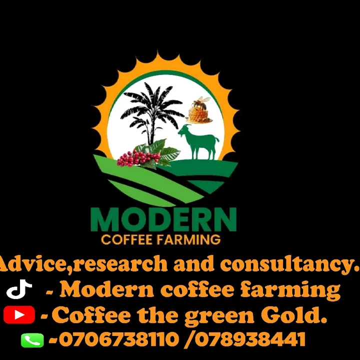 Modern coffee farming+256