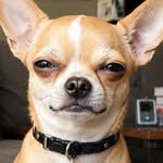 Social fun Smile