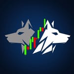 MG Capital