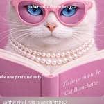 🍀The Real Cat Blanchette🌸 >^^<
