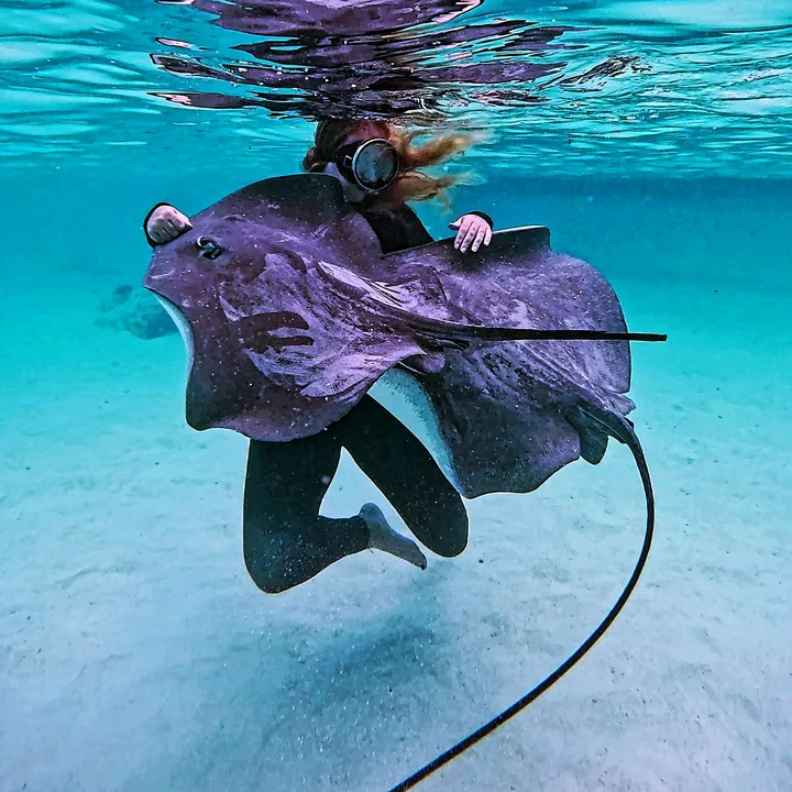oceantravel